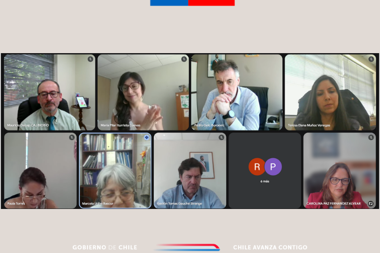 Directora y Directores Generales de las CAJ sostuvieron reunión de coordinacióncon con Director Nacional de SENADIS